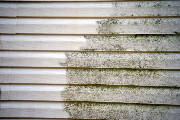 Best Shed Removal  in Allentown, PA